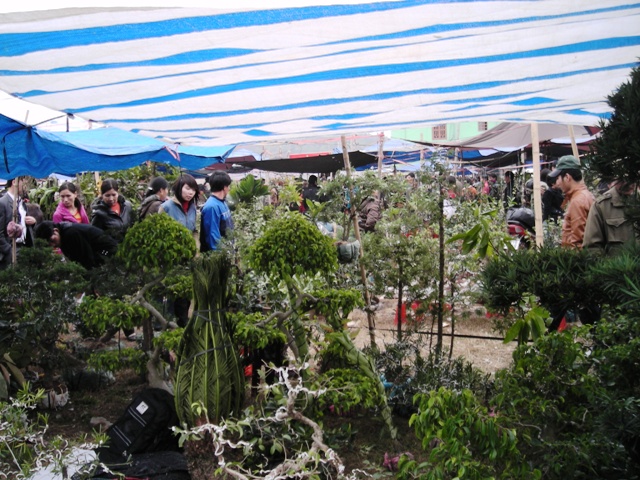 Chợ Viềng Nam Định: Nên mua gì trong ngày khai hội đầu xuân Kỷ Hợi 2019?